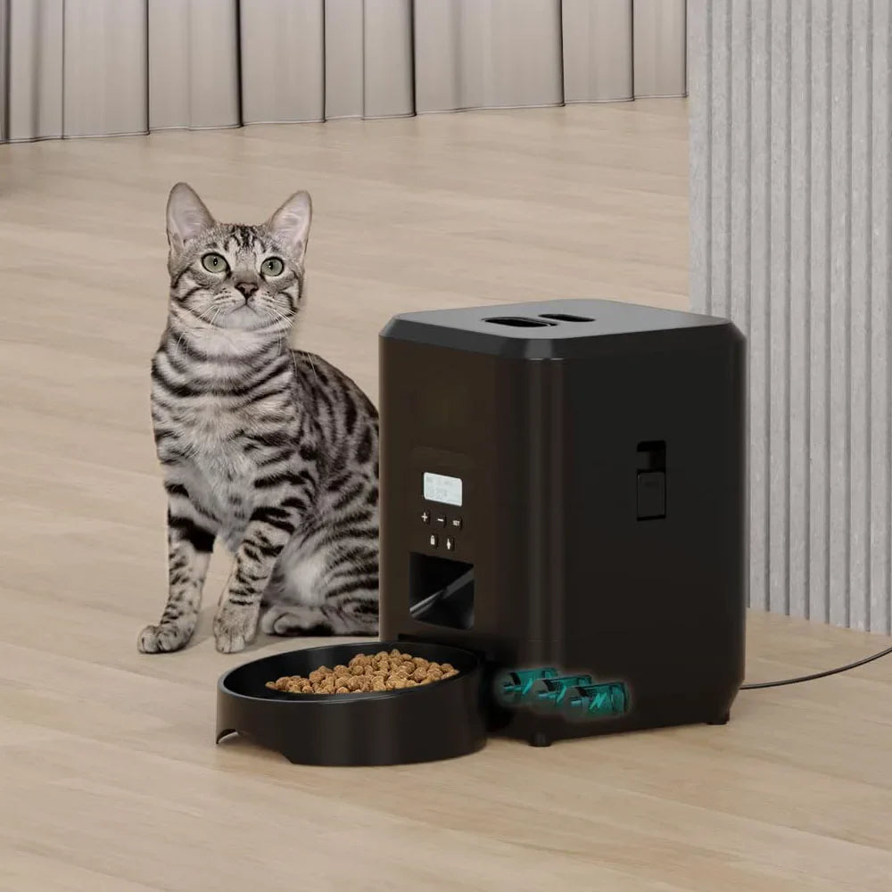The Automatic Cat Feeder That Makes Mealtimes Stress-Free