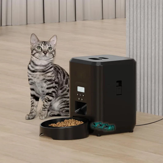 The Automatic Cat Feeder That Makes Mealtimes Stress-Free